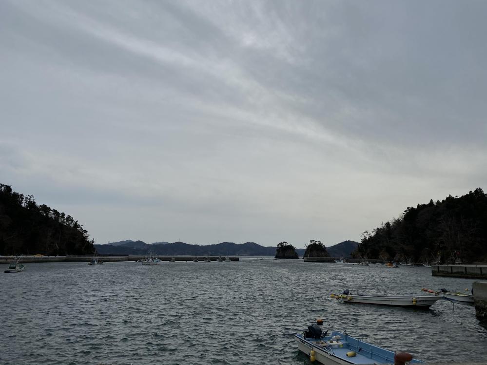 【東北/竹浦】 2020.3.27　漁師さんがダイビング修行へ　安全対策してますので潜りに来てください！