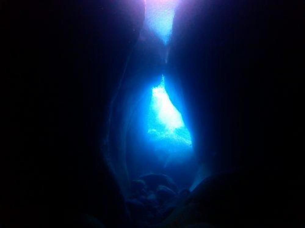 【伊豆半島/黄金崎・安良里】 水中が青いので、ドームに行ってみた！